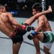 Muay Thai vs. MMA: Which Is Right for You? | Ultimate Guide to MMA: Training, Techniques, and Top Fighters in The World