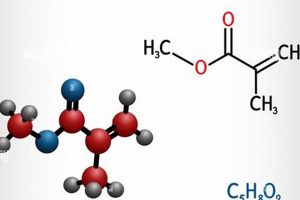 What is MMA Monomer? A Deep Dive | Ultimate Guide to MMA: Training, Techniques, and Top Fighters in The World