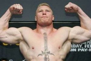 Brock Lesnar's MMA Debut: The Beginning | Ultimate Guide to MMA: Training, Techniques, and Top Fighters in The World