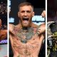 The Ultimate Guide to the Greatest MMA Fighters Ever | Ultimate Guide to MMA: Training, Techniques, and Top Fighters in The World