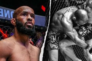 Best Steel Cup MMA: Ultimate Protection Guide | Ultimate Guide to MMA: Training, Techniques, and Top Fighters in The World