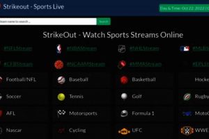 The Ultimate Guide to Strikeout MMA Fighters | Ultimate Guide to MMA: Training, Techniques, and Top Fighters in The World