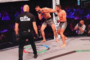 Last Night's MMA Results: Winners & Highlights | Ultimate Guide to MMA: Training, Techniques, and Top Fighters in The World