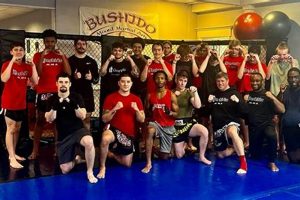 Bushido MMA Portsmouth: Train & Transform Ultimate Guide to MMA: Training, Techniques, and Top Fighters in The World Bushido MMA Portsmouth: Train & Transform | Ultimate Guide to MMA: Training, Techniques, and Top Fighters in The World