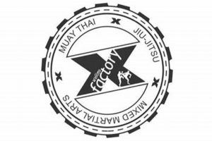 Factory X Mma | Ultimate Guide to MMA: Training, Techniques, and Top Fighters in The World
