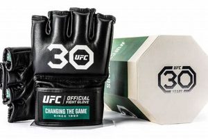 Mma Fighting Equipment | Ultimate Guide to MMA: Training, Techniques, and Top Fighters in The World