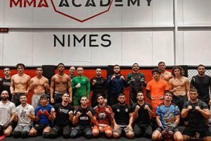 The Way of the Warrior: Bushido MMA Explained Ultimate Guide to MMA: Training, Techniques, and Top Fighters in The World The Way of the Warrior: Bushido MMA Explained | Ultimate Guide to MMA: Training, Techniques, and Top Fighters in The World