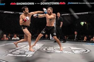 PFCs in MMA: A Fighter's Guide | Ultimate Guide to MMA: Training, Techniques, and Top Fighters in The World