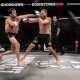 PFCs in MMA: A Fighter's Guide | Ultimate Guide to MMA: Training, Techniques, and Top Fighters in The World