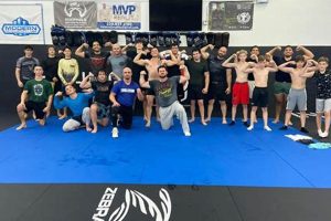 Evolution Mma | Ultimate Guide to MMA: Training, Techniques, and Top Fighters in The World
