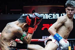 Muay Thai in MMA: Essential Striking Techniques | Ultimate Guide to MMA: Training, Techniques, and Top Fighters in The World