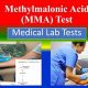 MMA Lab Tests: What to Expect & Why They Matter | Ultimate Guide to MMA: Training, Techniques, and Top Fighters in The World