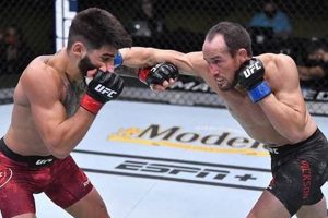 The Ultimate Guide to MMA Training & Techniques Ultimate Guide to MMA: Training, Techniques, and Top Fighters in The World The Ultimate Guide to MMA Training & Techniques | Ultimate Guide to MMA: Training, Techniques, and Top Fighters in The World