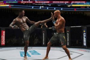 Ultimate MMA Fighter: Age With Every Loss Ultimate Guide to MMA: Training, Techniques, and Top Fighters in The World Ultimate MMA Fighter: Age With Every Loss | Ultimate Guide to MMA: Training, Techniques, and Top Fighters in The World