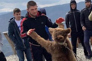 Khabib Nurmagomedov Bear Ultimate Guide to MMA: Training, Techniques, and Top Fighters in The World Khabib Nurmagomedov Bear | Ultimate Guide to MMA: Training, Techniques, and Top Fighters in The World