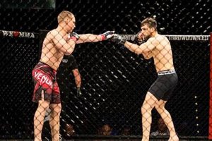 Discover What's MMA Fighting: A Guide Ultimate Guide to MMA: Training, Techniques, and Top Fighters in The World Discover What's MMA Fighting: A Guide | Ultimate Guide to MMA: Training, Techniques, and Top Fighters in The World