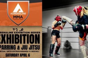 Fuel Your MMA Fight with Adrenaline Rush Ultimate Guide to MMA: Training, Techniques, and Top Fighters in The World Fuel Your MMA Fight with Adrenaline Rush | Ultimate Guide to MMA: Training, Techniques, and Top Fighters in The World