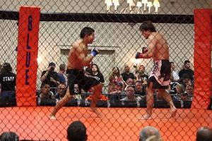 Top American Elite MMA Fighters & Training | Ultimate Guide to MMA: Training, Techniques, and Top Fighters in The World