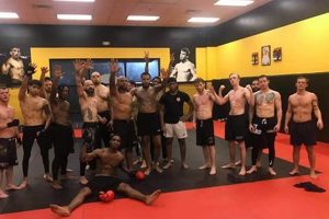 Independent Mma Newnan | Ultimate Guide to MMA: Training, Techniques, and Top Fighters in The World