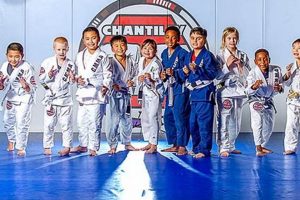 Best Chantilly MMA Gyms & Training | Ultimate Guide to MMA: Training, Techniques, and Top Fighters in The World