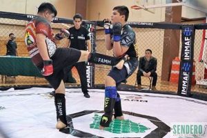 The Rise of MMA in Mexico: A Thriving Scene | Ultimate Guide to MMA: Training, Techniques, and Top Fighters in The World