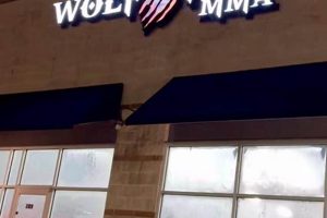 Train MMA at Wolfpack MMA Forney, TX | Ultimate Guide to MMA: Training, Techniques, and Top Fighters in The World