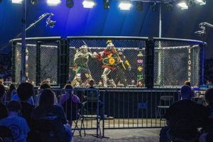Ultimate Nashville MMA Fights Tonight! | Ultimate Guide to MMA: Training, Techniques, and Top Fighters in The World