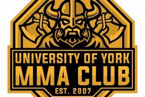 Best York MMA Gyms & Training | Ultimate Guide to MMA: Training, Techniques, and Top Fighters in The World