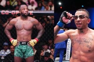 Expert MMA Fight Predictions & Analysis | Ultimate Guide to MMA: Training, Techniques, and Top Fighters in The World