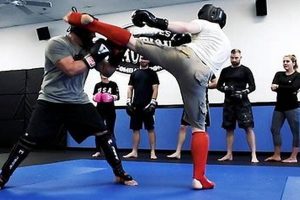 Best Mesa AZ MMA Gyms & Training | Ultimate Guide to MMA: Training, Techniques, and Top Fighters in The World