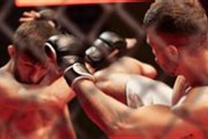 Top MMA Sponsorship Deals &amp; How to Get One | Ultimate Guide to MMA: Training, Techniques, and Top Fighters in The World