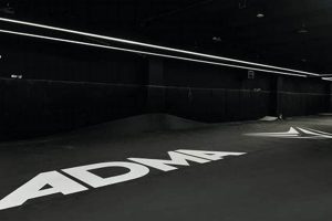 Best MMA Matting: Guide & Options Ultimate Guide to MMA: Training, Techniques, and Top Fighters in The World Best MMA Matting: Guide & Options | Ultimate Guide to MMA: Training, Techniques, and Top Fighters in The World