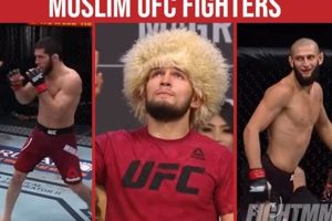 Top Muslim MMA Fighters: Rising Stars & Legends | Ultimate Guide to MMA: Training, Techniques, and Top Fighters in The World