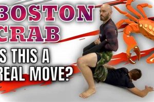 Mastering the MMA Boston Crab: A Guide | Ultimate Guide to MMA: Training, Techniques, and Top Fighters in The World