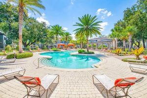 Best MMA Lake Mary Apartments for Fighters | Ultimate Guide to MMA: Training, Techniques, and Top Fighters in The World