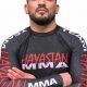 Ultimate KD MMA Guide: Tips & Strategies | Ultimate Guide to MMA: Training, Techniques, and Top Fighters in The World