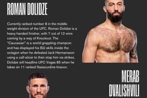 Top Georgian MMA Fighters & Gyms | Ultimate Guide to MMA: Training, Techniques, and Top Fighters in The World