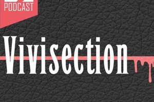 Advanced MMA Vivisection: Fight Analysis | Ultimate Guide to MMA: Training, Techniques, and Top Fighters in The World