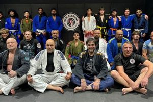 Essential MMA Element: Mastering The Basics | Ultimate Guide to MMA: Training, Techniques, and Top Fighters in The World