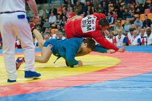 Dominate MMA with Combat Sambo Mastery Ultimate Guide to MMA: Training, Techniques, and Top Fighters in The World Dominate MMA with Combat Sambo Mastery | Ultimate Guide to MMA: Training, Techniques, and Top Fighters in The World