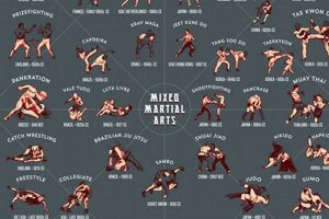 Top MMA Styles & Fighting Techniques | Ultimate Guide to MMA: Training, Techniques, and Top Fighters in The World