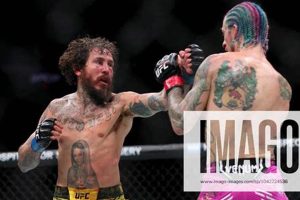 Ultimate MMA Fights Florida 2024: Tickets & Info | Ultimate Guide to MMA: Training, Techniques, and Top Fighters in The World