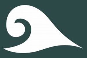 Watch MMA: Avoid Illegal Torrents & Stream Safely | Ultimate Guide to MMA: Training, Techniques, and Top Fighters in The World