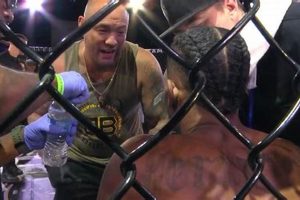 Fuel Your Fight: Bakeries for MMA Athletes | Ultimate Guide to MMA: Training, Techniques, and Top Fighters in The World