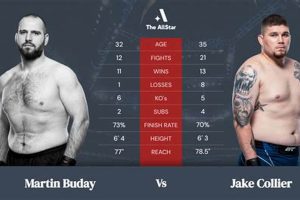 Authentic Buday MMA Techniques & Training | Ultimate Guide to MMA: Training, Techniques, and Top Fighters in The World