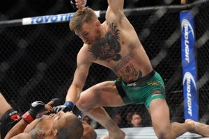 Spanish MMA: Find Training & Events | Ultimate Guide to MMA: Training, Techniques, and Top Fighters in The World