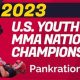 The Ultimate Guide to Youth MMA Training | Ultimate Guide to MMA: Training, Techniques, and Top Fighters in The World