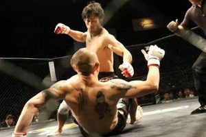 Dominate with Ground Pound MMA Techniques | Ultimate Guide to MMA: Training, Techniques, and Top Fighters in The World