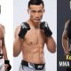 Top Korean MMA Fighters: Rising Stars | Ultimate Guide to MMA: Training, Techniques, and Top Fighters in The World
