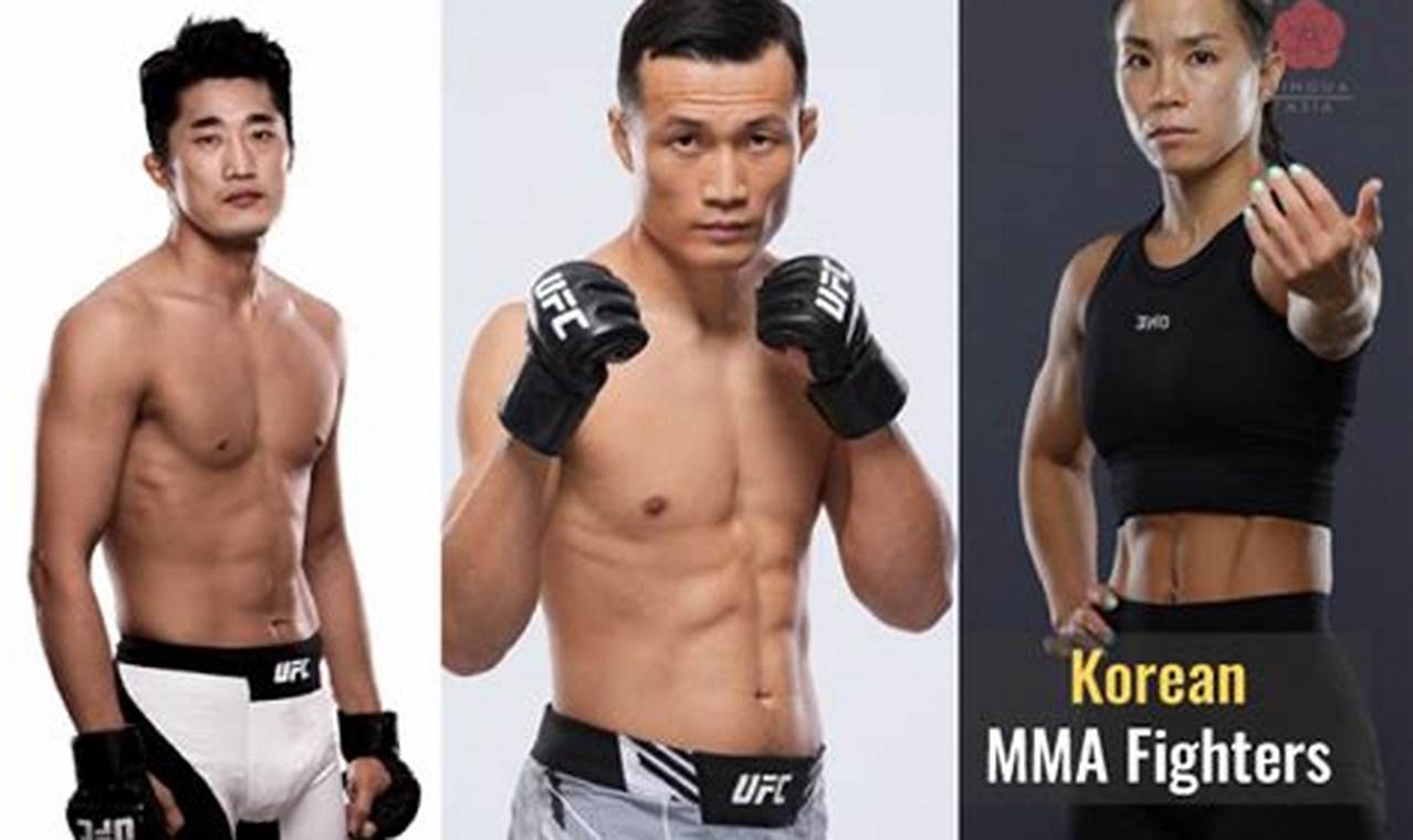 Top Korean MMA Fighters: Rising Stars | Ultimate Guide to MMA: Training, Techniques, and Top Fighters in The World